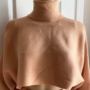 F21 Knit Crop Turtleneck & Skirt
